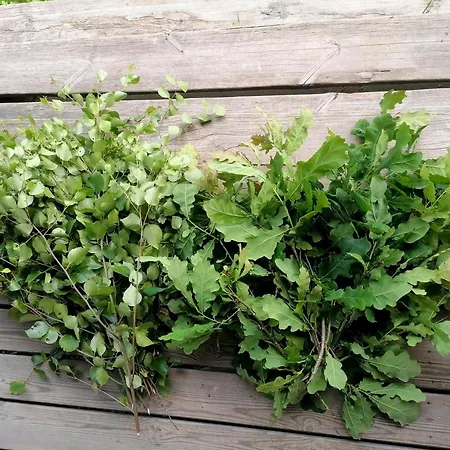 Tirtsu Puhkemaja Varesmae