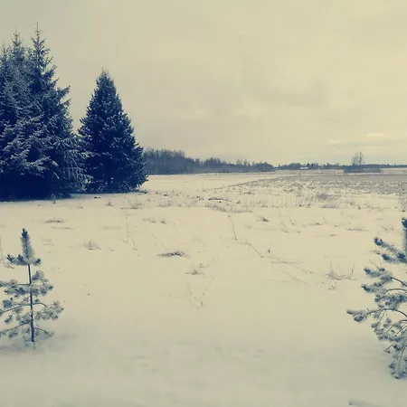 Holiday home Tirtsu Puhkemaja Varesmae