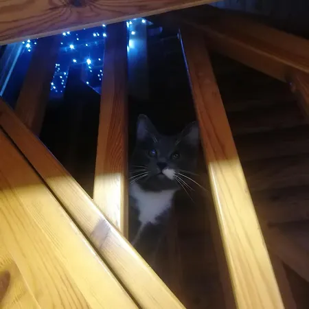 Tirtsu Puhkemaja * Varesmae