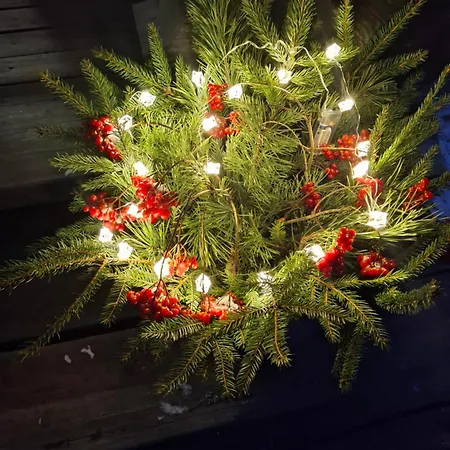 Tirtsu Puhkemaja Сasa de vacaciones Varesmae