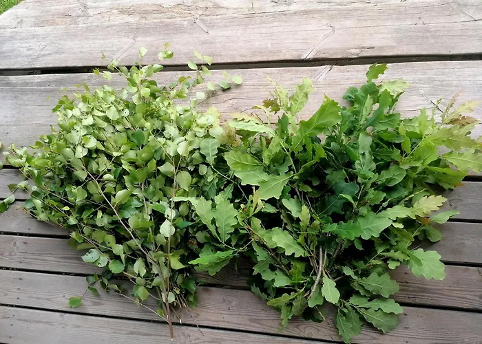 Tirtsu Puhkemaja Varesmae