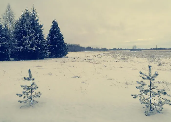 Dom wakacyjny Tirtsu Puhkemaja Varesmae