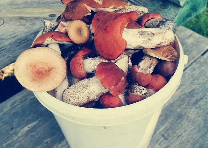 Tirtsu Puhkemaja Dom wakacyjny