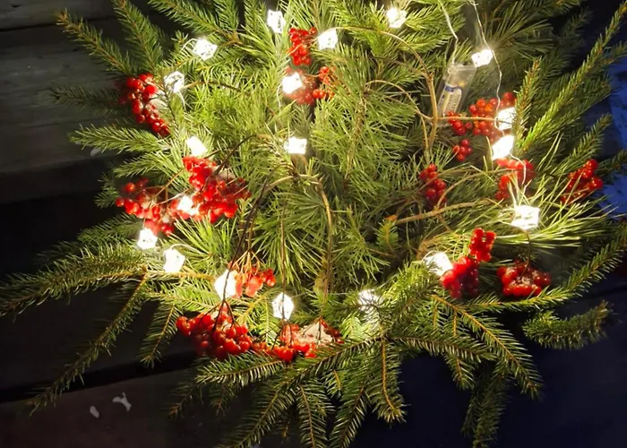 Tirtsu Puhkemaja Dom wakacyjny Varesmae